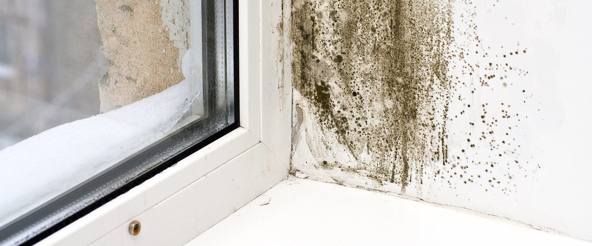 How does regular house cleaning reduce mold and mildew in my home?