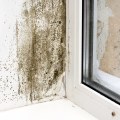 How does regular house cleaning reduce mold and mildew in my home?