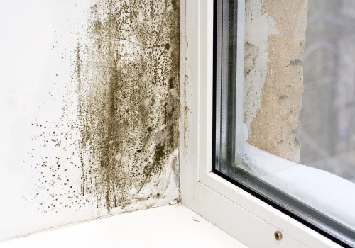 How does regular house cleaning reduce mold and mildew in my home?