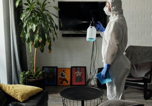 How does regular house cleaning reduce pests in my home?